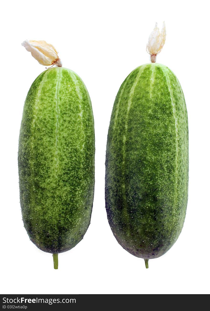 Two fresh green cucumbers isolated on white background. Vegetarian food. Two fresh green cucumbers isolated on white background. Vegetarian food.