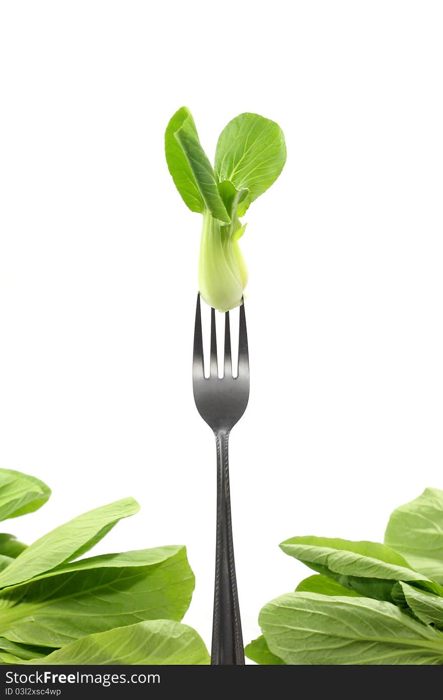 Fresh Cantonese lettuce on fork with withe background