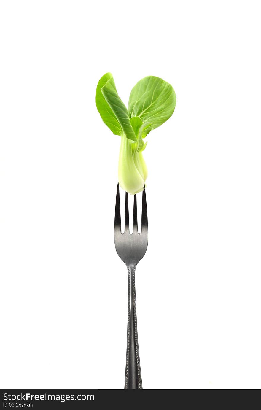 Chinese Cabbage on fork , White Background