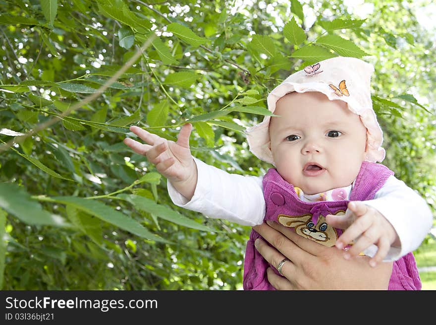 Child reaches for green leafs. Child reaches for green leafs