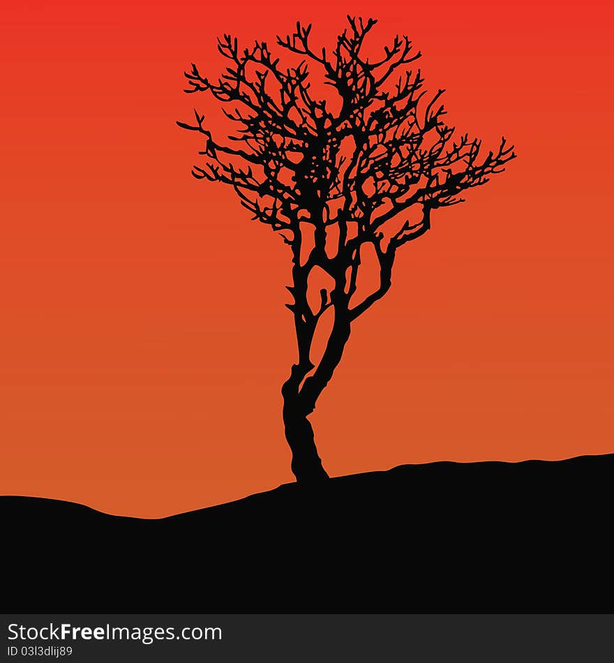 Tree_silhouette