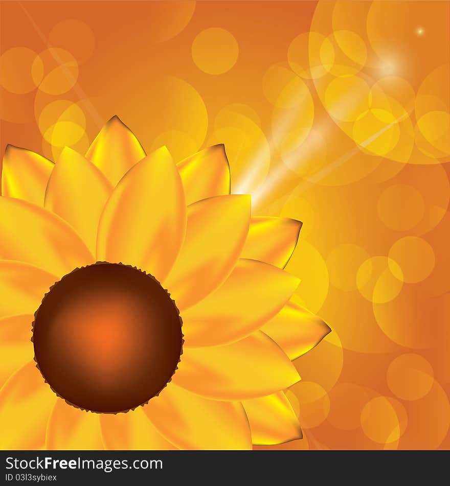 Sunflower Background