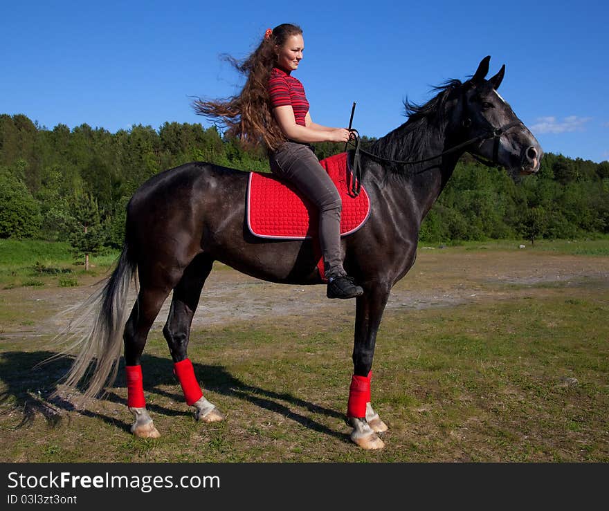 Beautiful girl with brown hair on a black horse against a blue sky and the forest