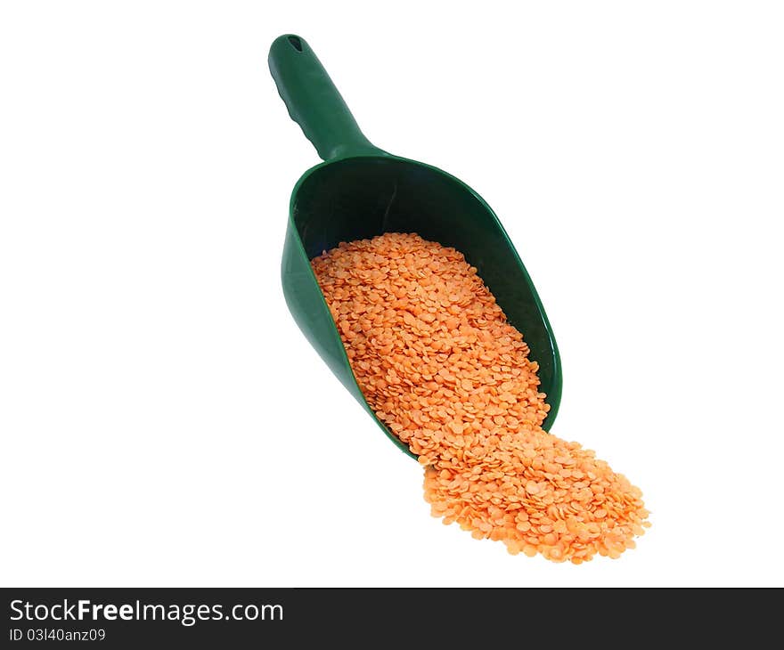 Lentils in a scoop on a white background