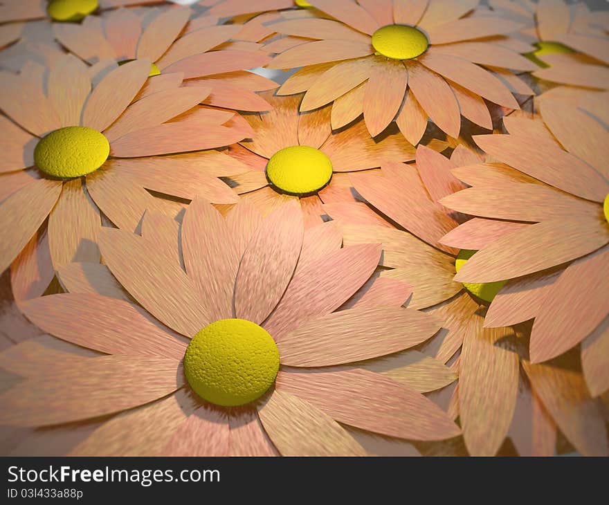 A few of orange flowers