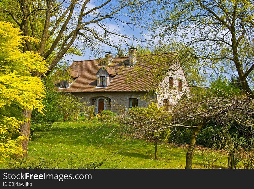 Alone abandoned house in the forest. House is hidden behind tree branches. Spring landscape. Alone abandoned house in the forest. House is hidden behind tree branches. Spring landscape.