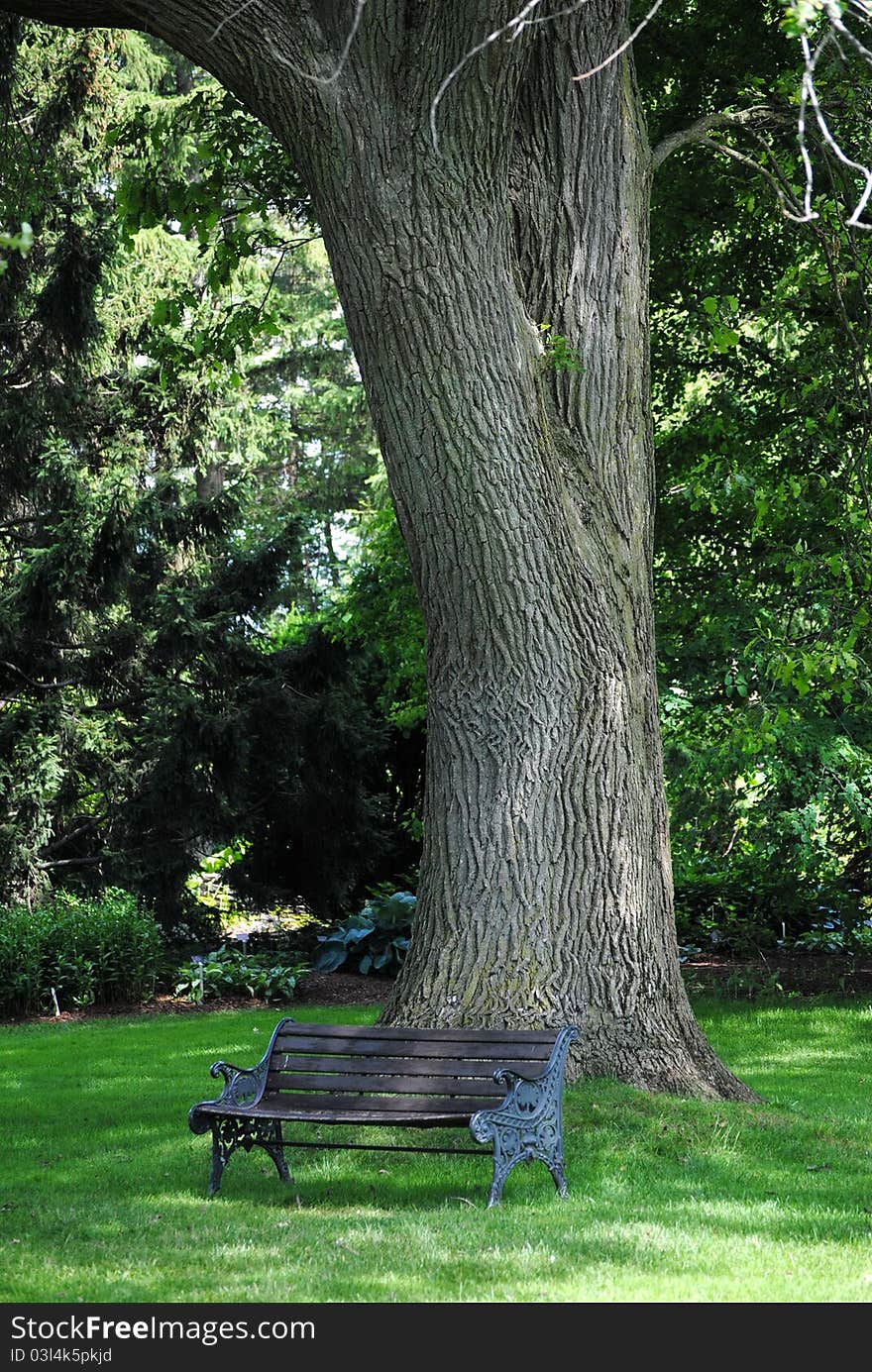 Park Bench