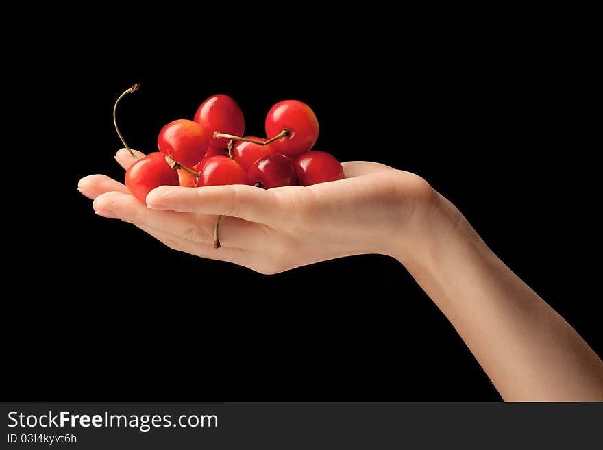 Handful of sweet cherries on a hand