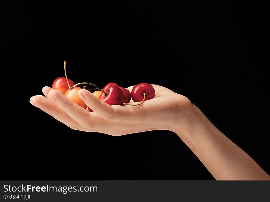 It is red a yellow sweet cherry lies on a hand of the young girl. It is red a yellow sweet cherry lies on a hand of the young girl