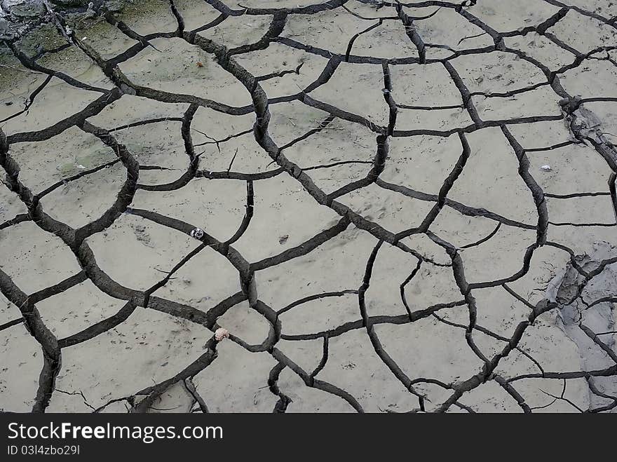 Drained pond