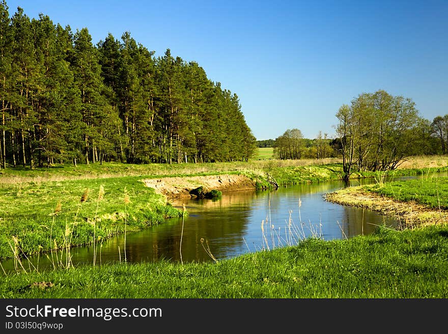 The small river about wood (summertime of year). The small river about wood (summertime of year)