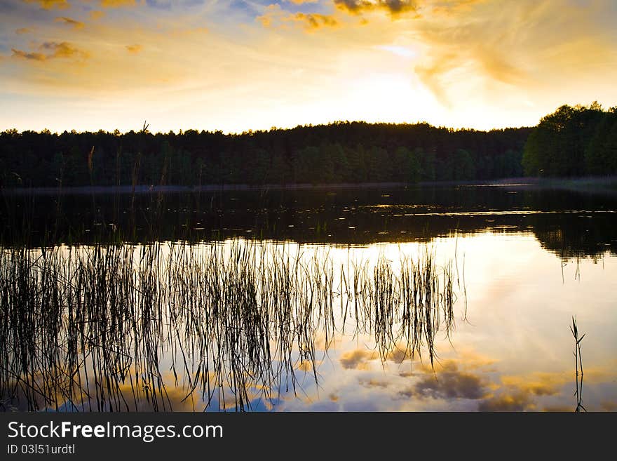 Reflection in water of the sun coming for horizon. Reflection in water of the sun coming for horizon