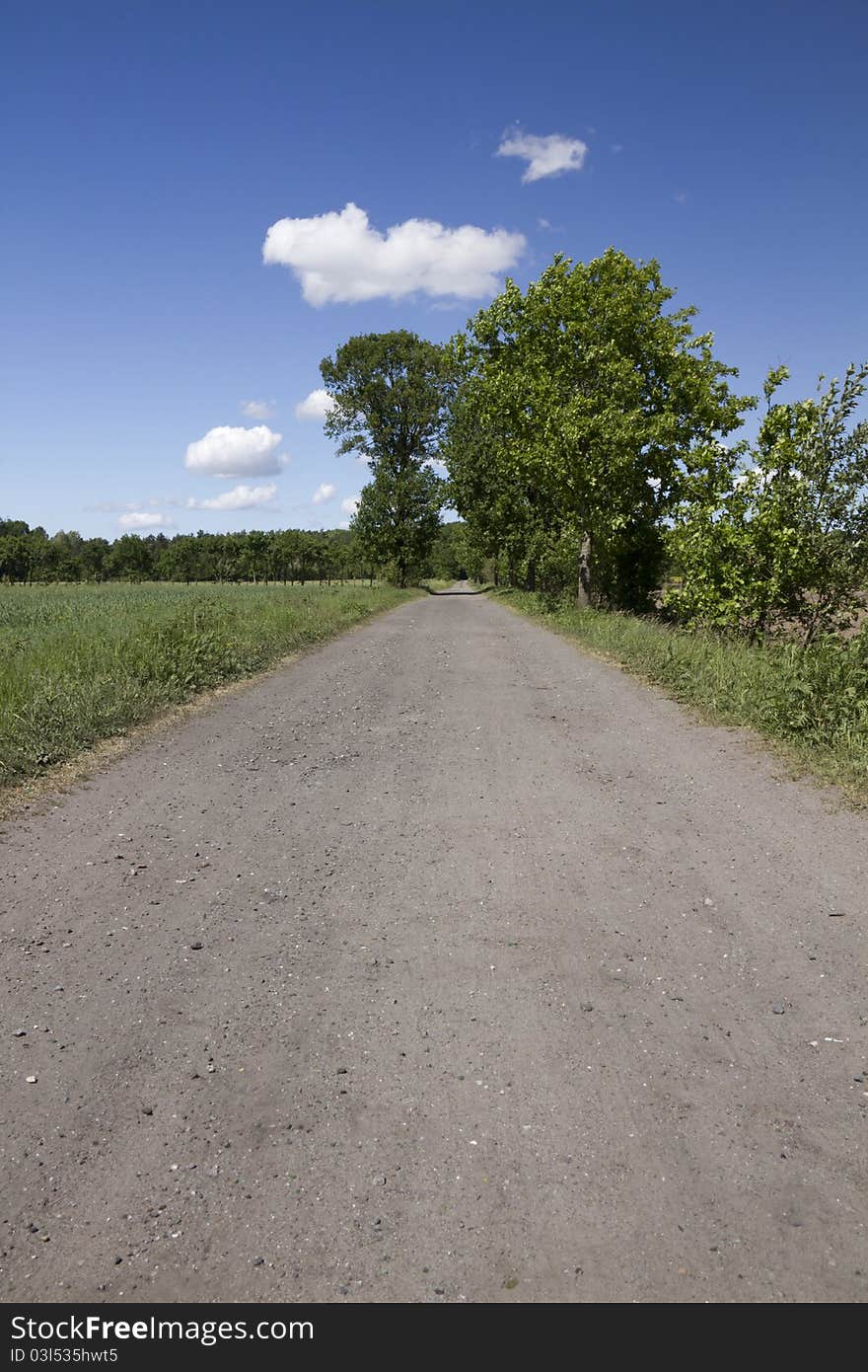 Lonely road on a summer day