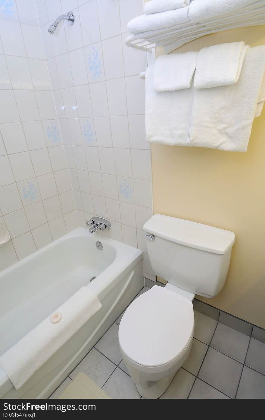 Interior of clean and luxurious toilet and bathroom.