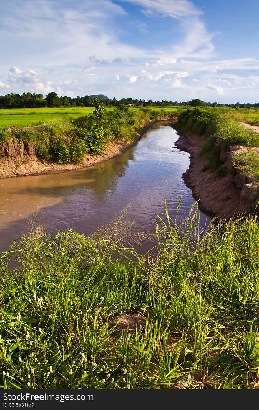 Irrigation Canal