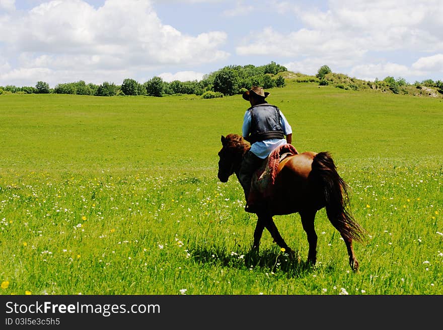 Horse Riding