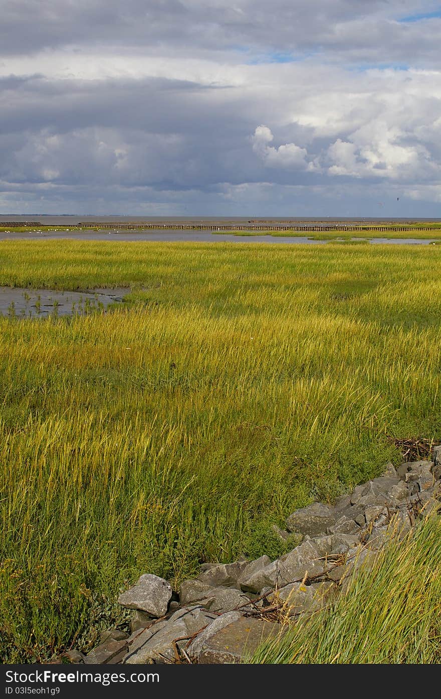 Low tide, tidal flats/mud flats north sea with horizon. Low tide, tidal flats/mud flats north sea with horizon