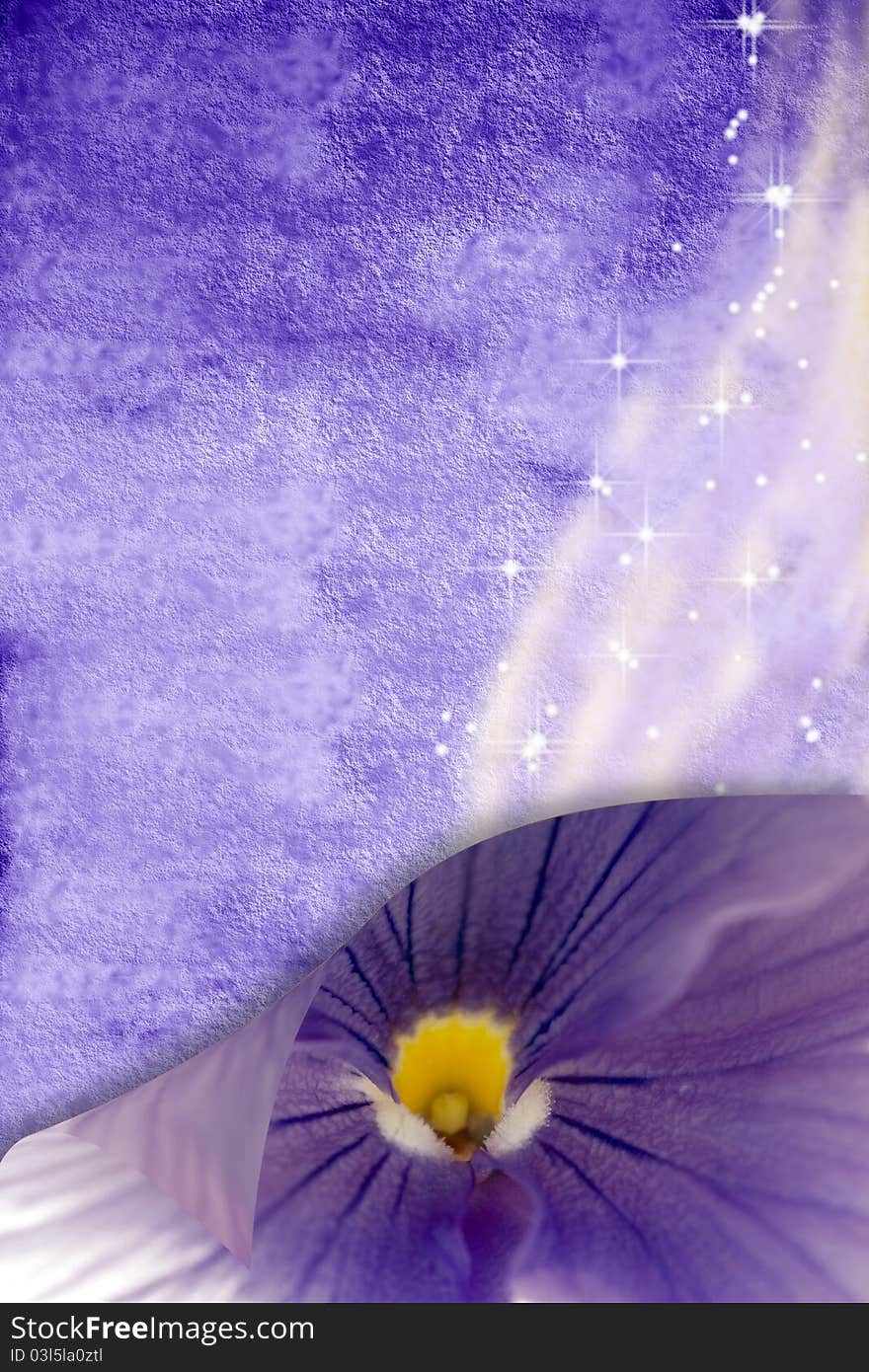 Romantic purple background with stars and wake with space and floral photography. Romantic purple background with stars and wake with space and floral photography