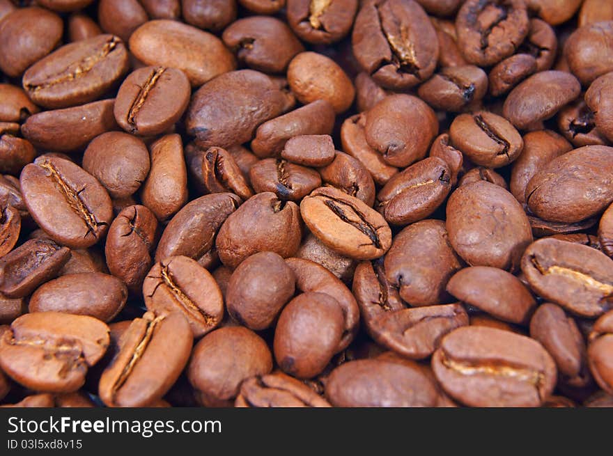 Many coffee beans of a white background