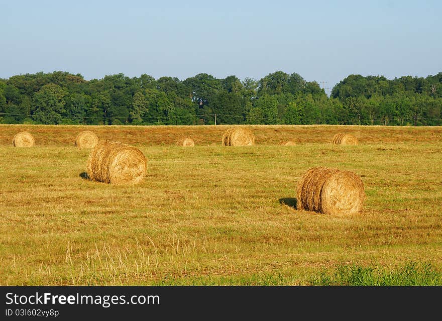 Straw bale