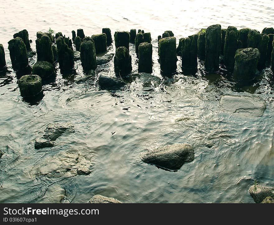 River with the logs from the old wharf. River with the logs from the old wharf