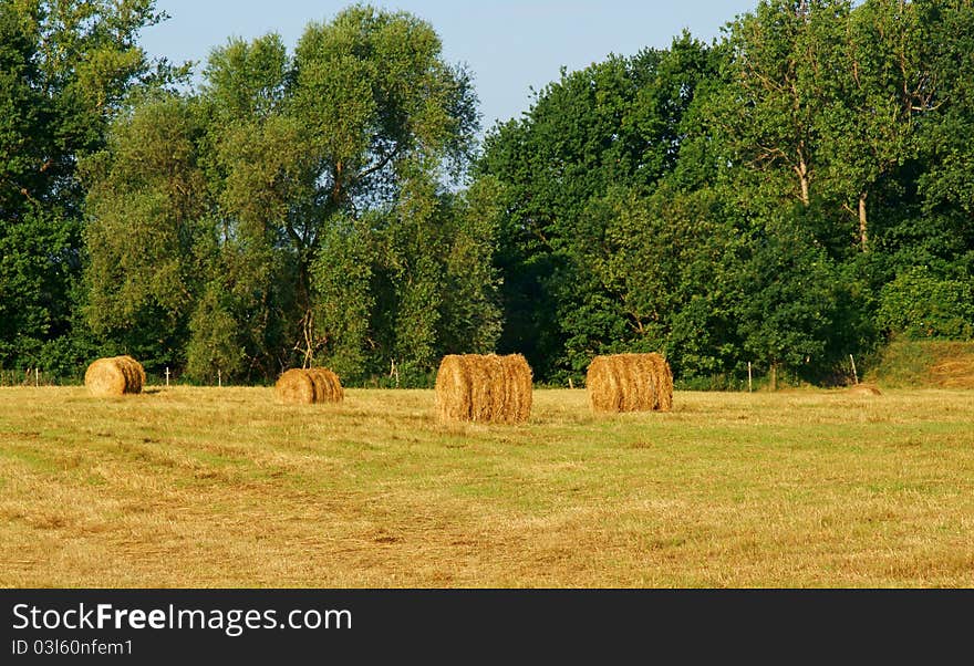 Straw bale