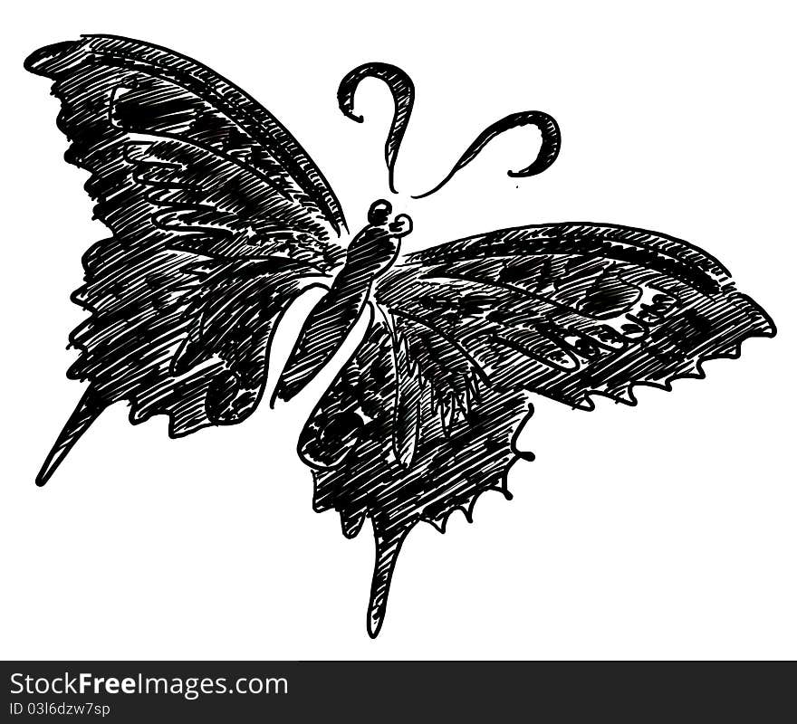 Black illustration of the butterfly. Black illustration of the butterfly