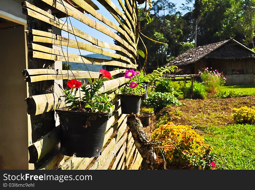 Flowers in landscaped flower garden