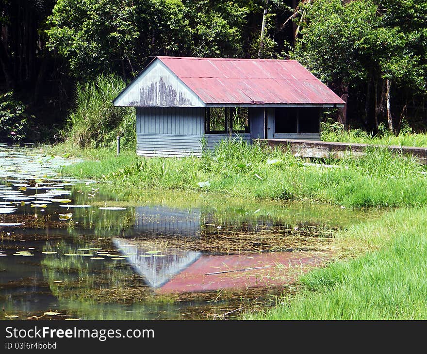 Abandonded Hut