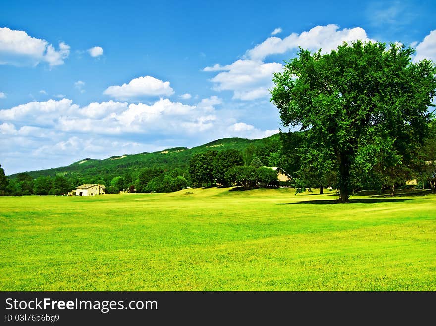 A large, grass covered field with a big tree over beautiful blue skies. A large, grass covered field with a big tree over beautiful blue skies.