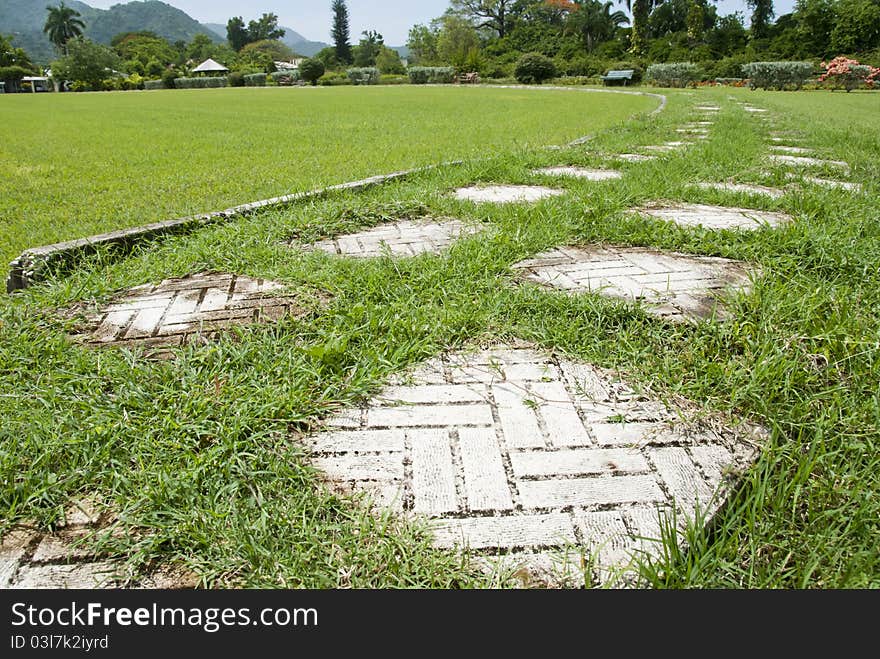 White tiles on green grass make a pathway. White tiles on green grass make a pathway