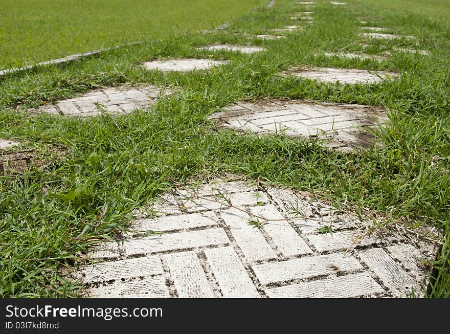 White tiles on green grass make a pathway. White tiles on green grass make a pathway