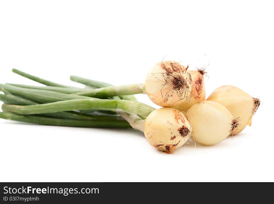 Onion on a white background