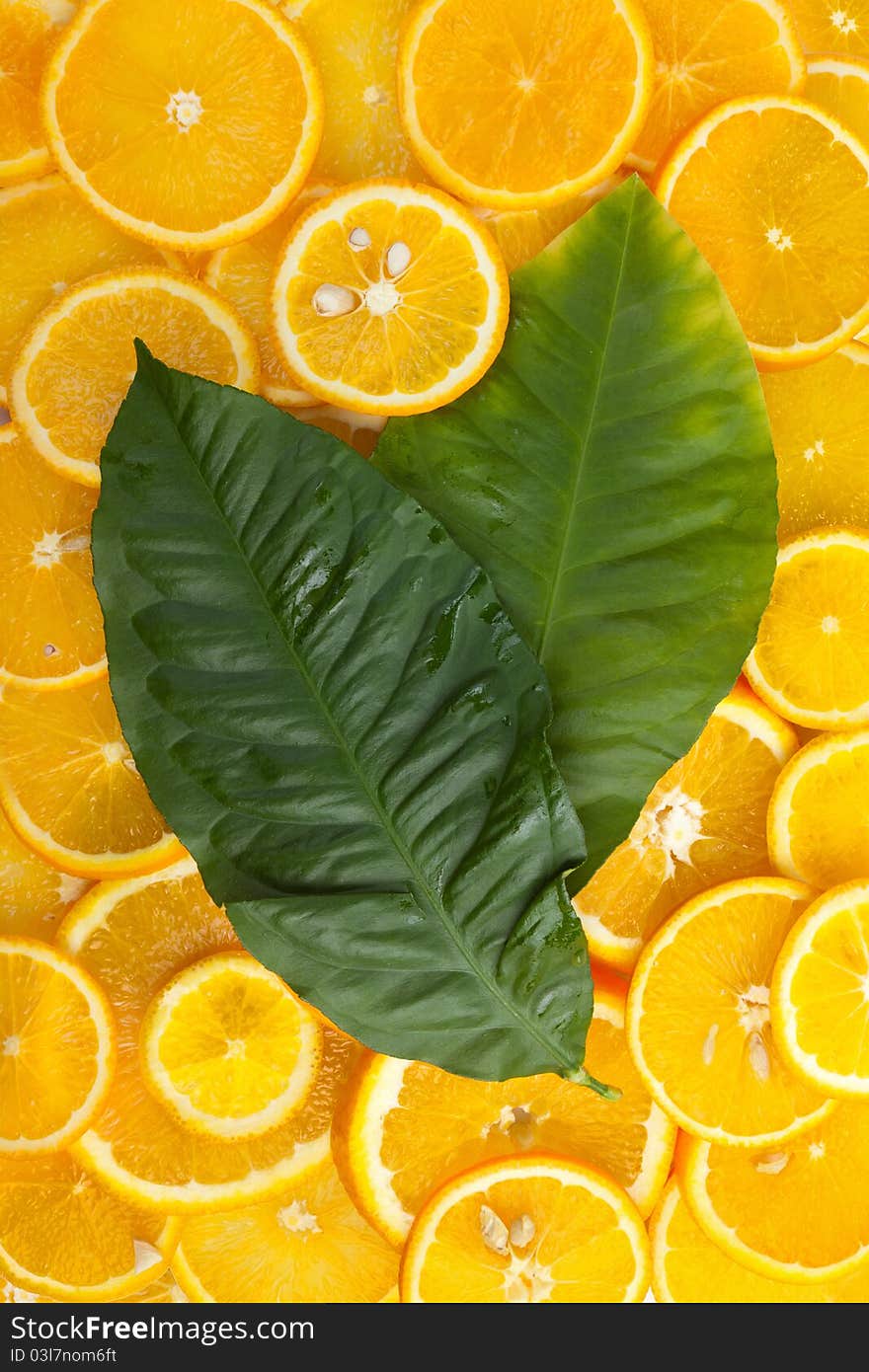 Slices of an orange and lemon leaves. Slices of an orange and lemon leaves