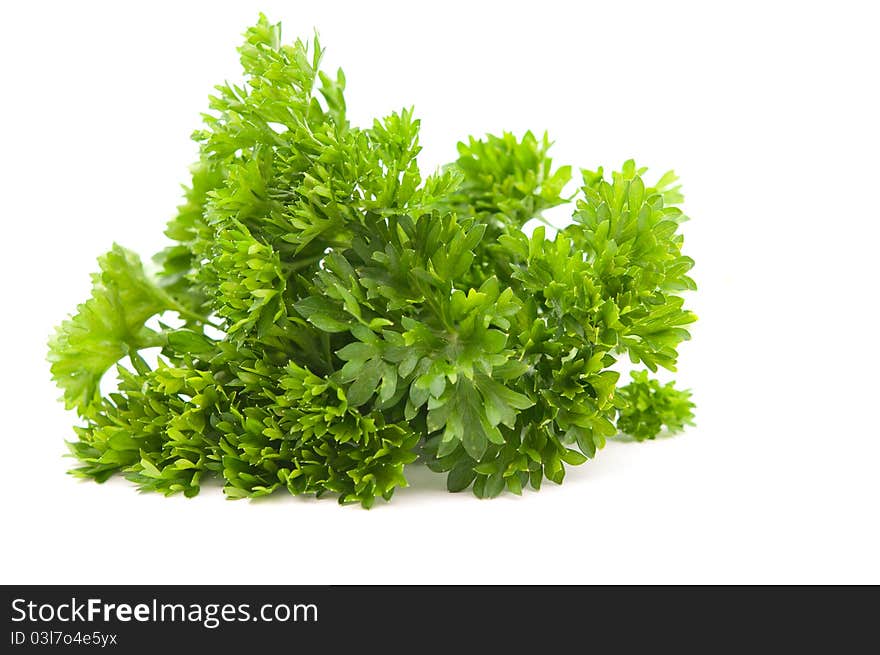 Curly parsley