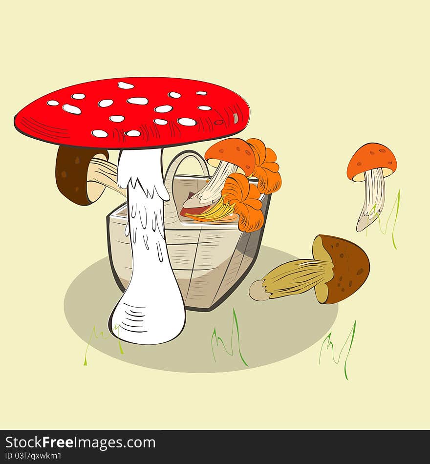 Mushrooms in basket