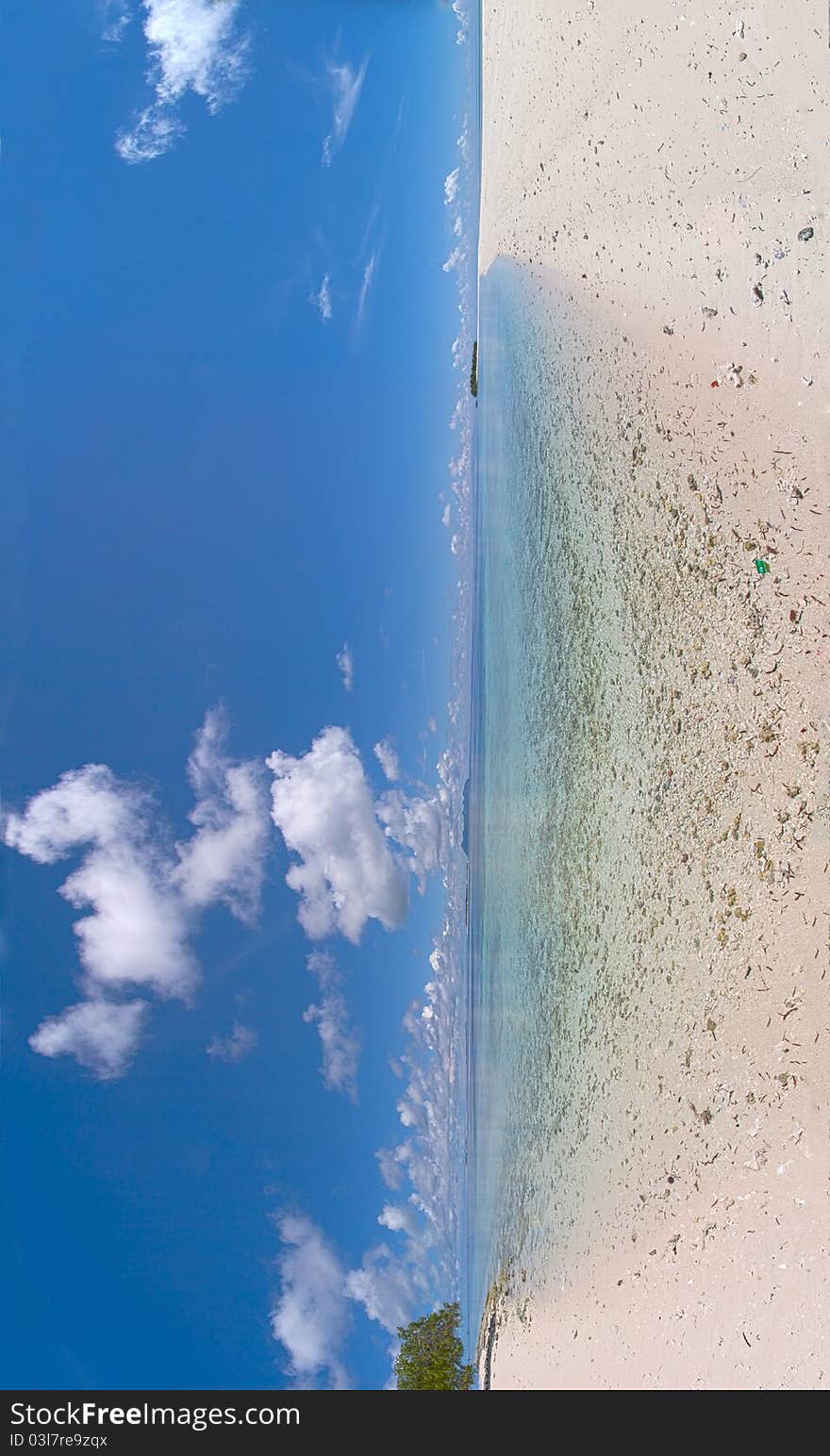 Sandy beach panorama