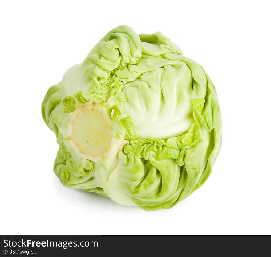 Green cabbage isolated on white background