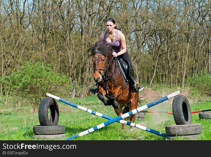 Equestrian - Horse Jumping