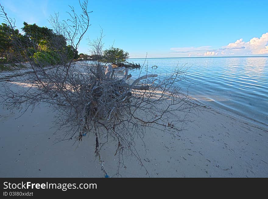 Coral beach during low tide in Mataking. Coral beach during low tide in Mataking