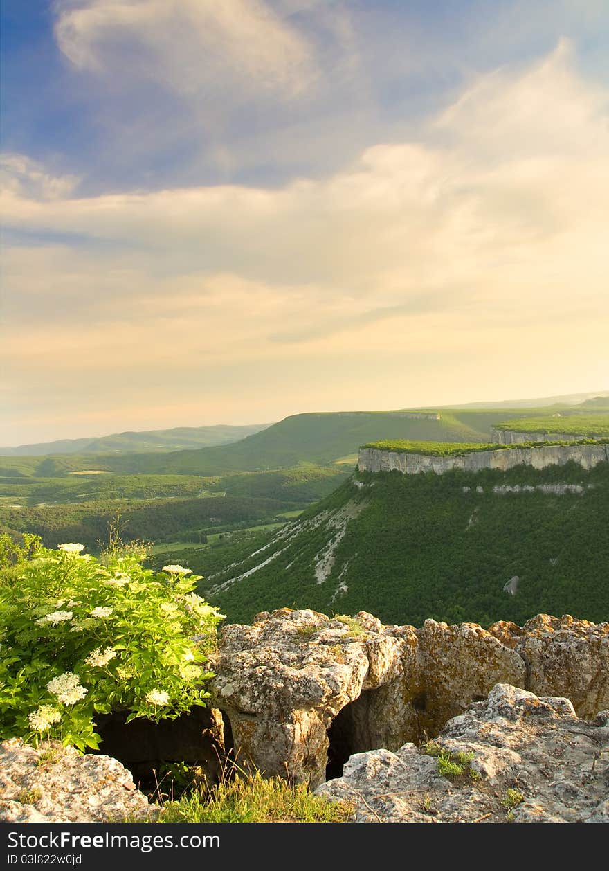 Green meadow in mountain.