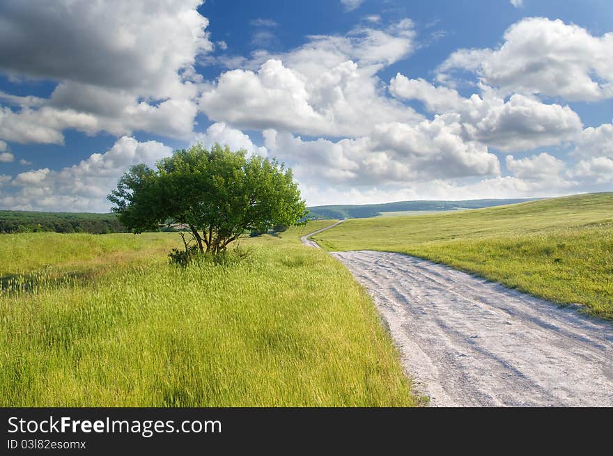 Road on green meadow