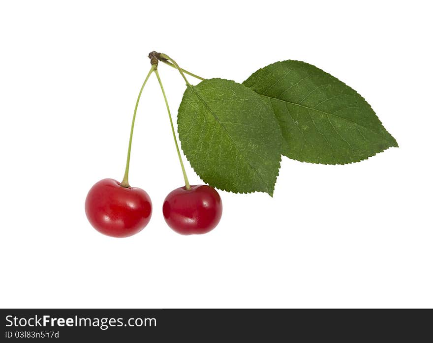 Two cherries with a sheet on a white background. Two cherries with a sheet on a white background