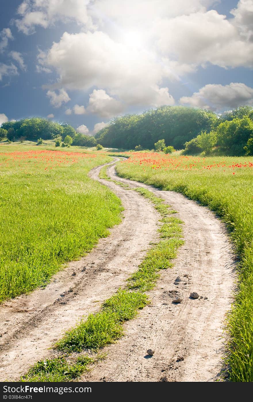 Road On Green Meadow