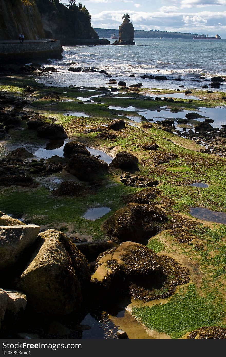 Seashore during the low tide