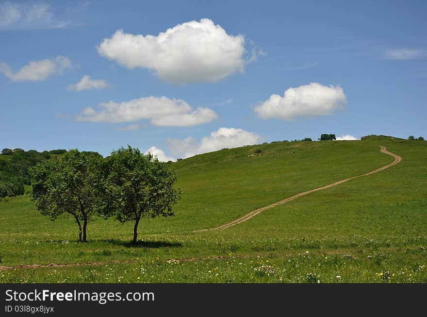 This is taken in weichang grasslands in early summer. This is taken in weichang grasslands in early summer