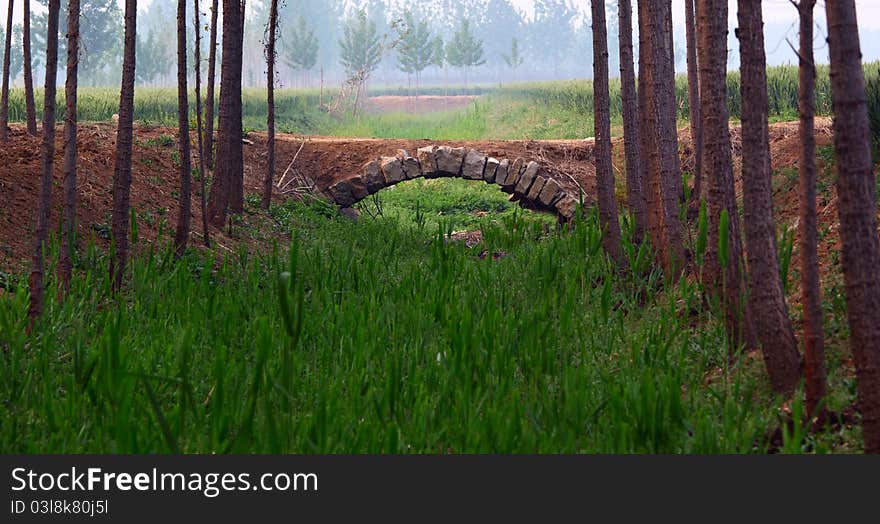 Small stone bridge in the field.