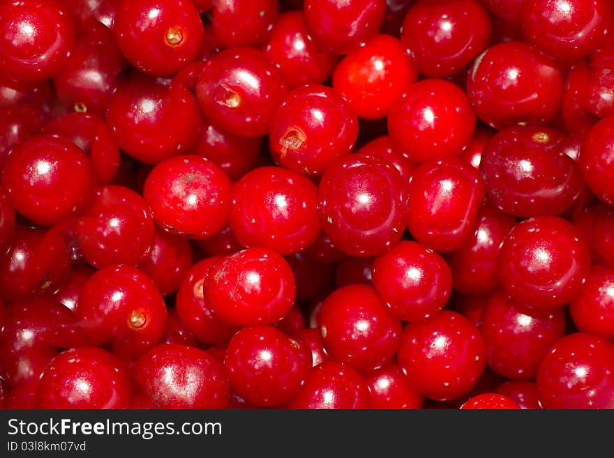 Berries  ripened cherries