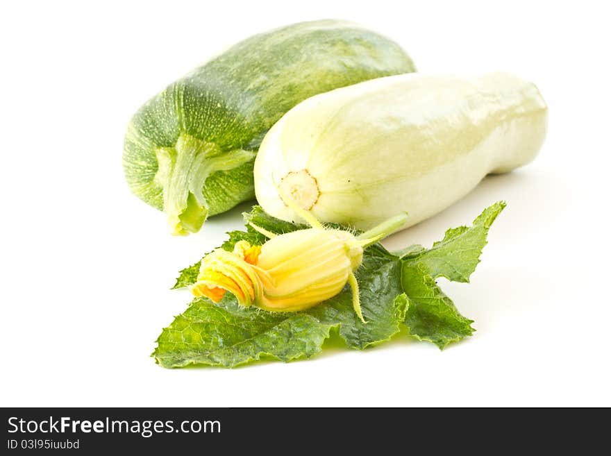 Zucchini flowers and fresh green zucchini