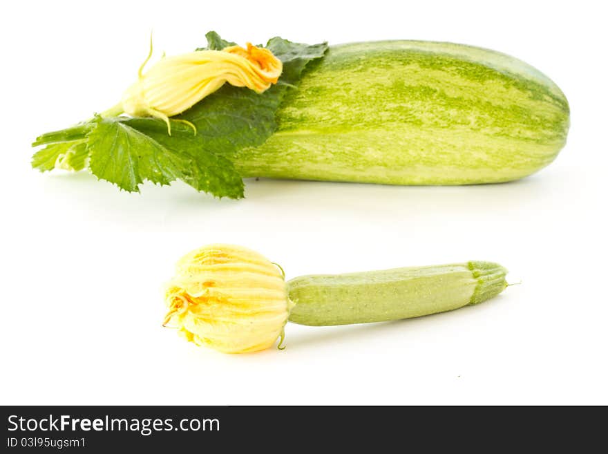 Zucchini flowers and fresh green zucchini